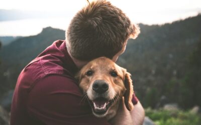 A New Hope in the Search: How Thermal Drones Are Reuniting Lost Pets with Their Families in Ohio