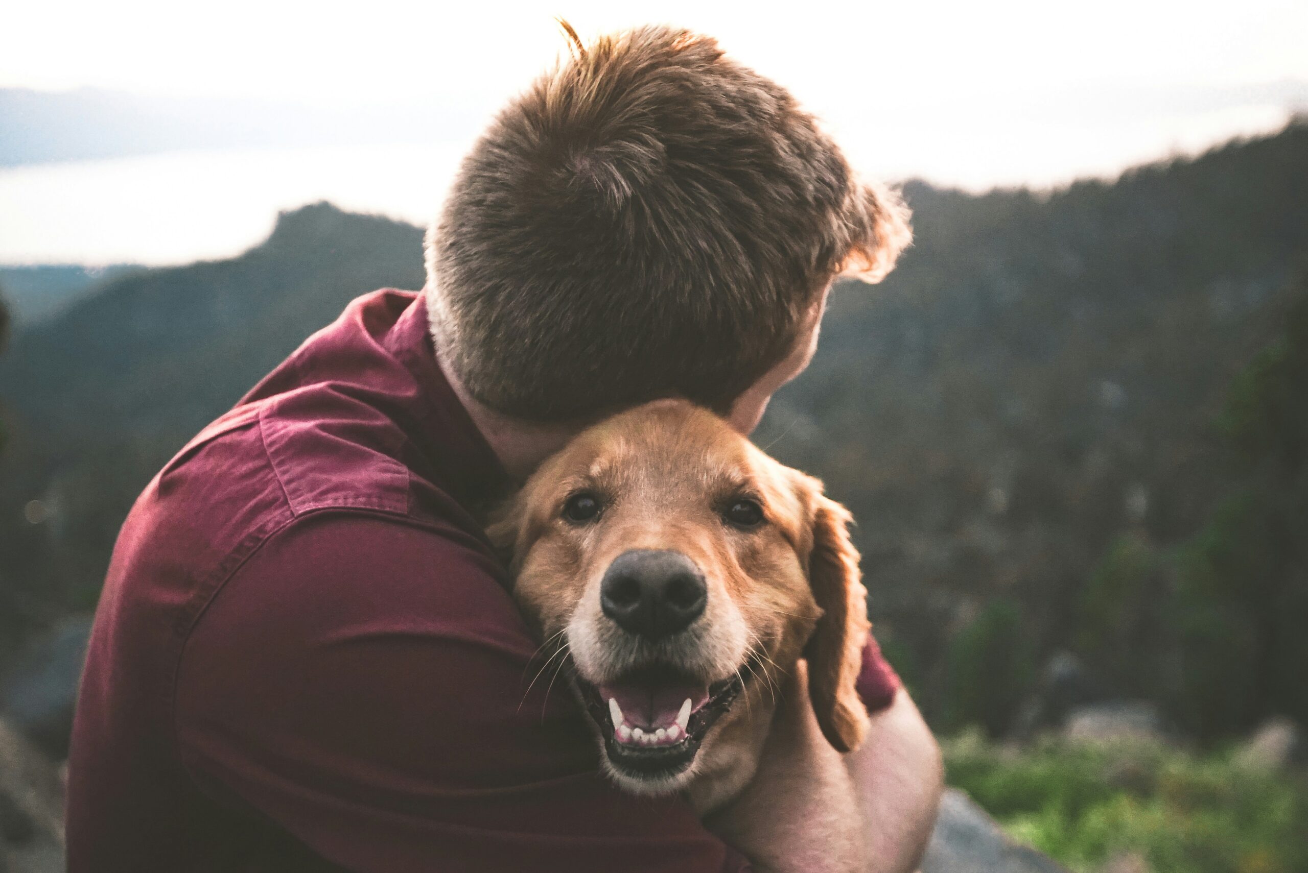 Relieved owner hugging his golden retriever after a successful lost pet search.